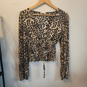 Zara Animal Print V-Neck Blouse